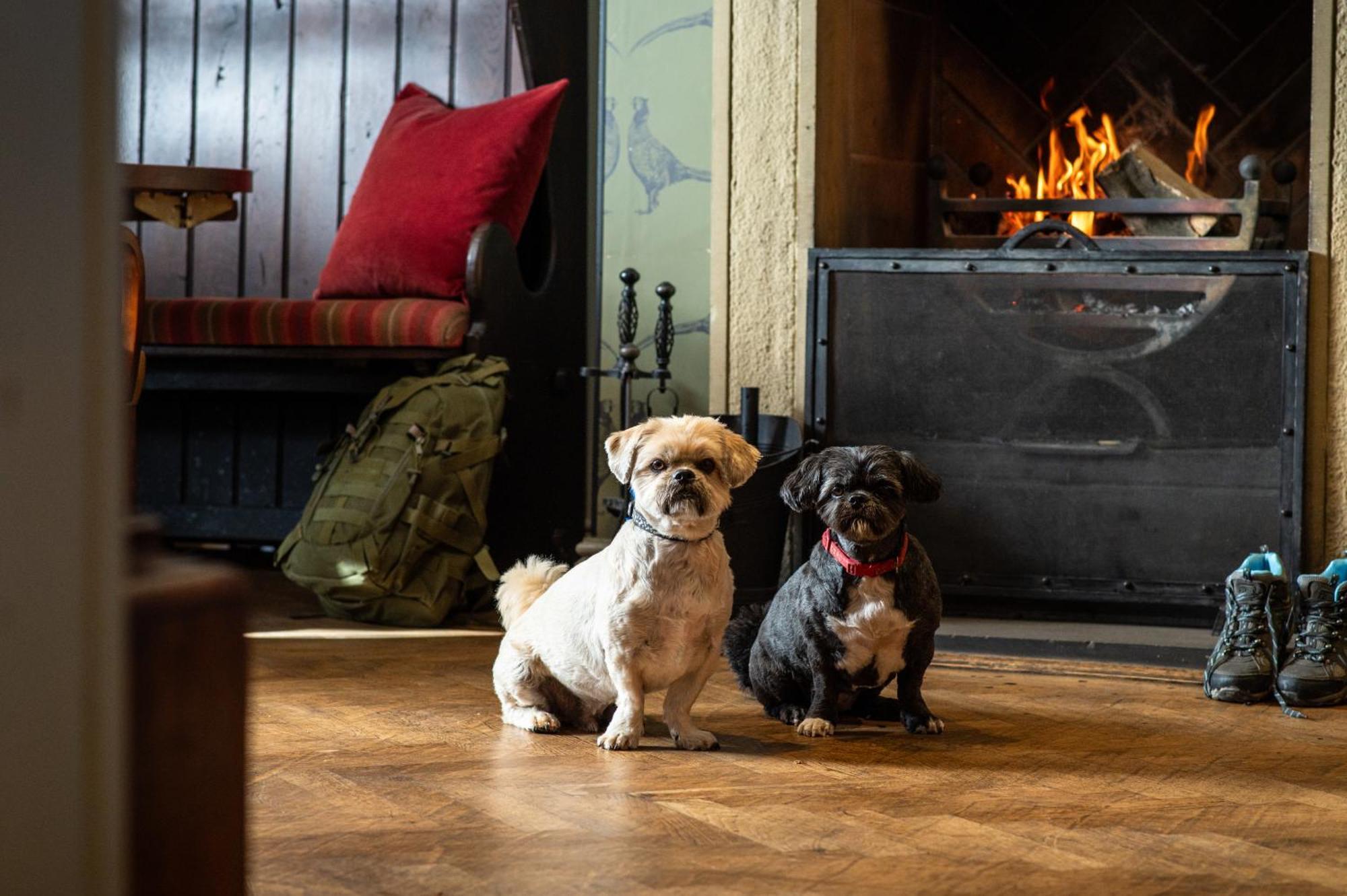 Отель The Millstone, Mellor Блэкберн Экстерьер фото Dogs at the Inn